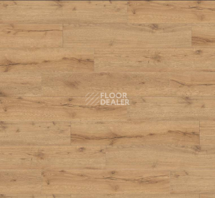 Ламинат Haro Tritty 100 Campus 4V АЛЬПИЙСКИЙ ДУБ НАТУРАЛЬНЫЙ 532063 фото 1 | FLOORDEALER